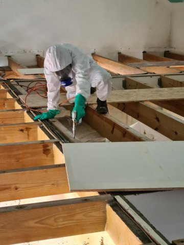 Traitement anti termites à Saint Denis