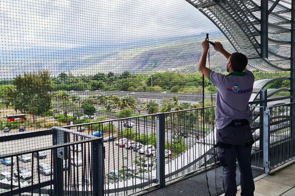 Faire fuir des chauves-souris autour d'une habitation à La Réunion