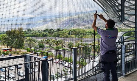 Faire fuir des chauves-souris autour d'une habitation à La Réunion