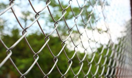 Professionnel pour la protection contre les chauves-souris vers des habitations La Réunion