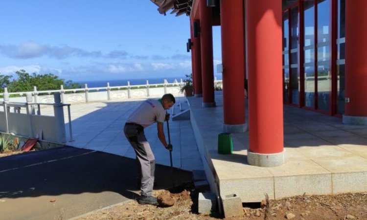 TEKNIX La Réunion - Entreprise antiparasitaire